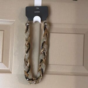 Express Mixed Metals Necklace NWT